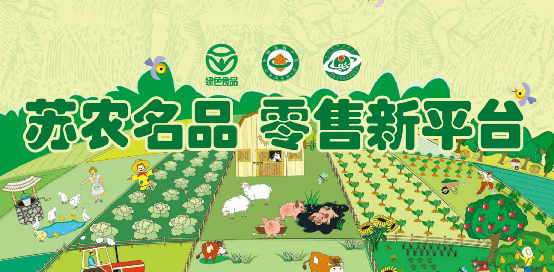 保定名品回收